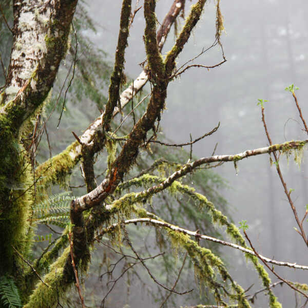 Photograph by Inelia Benz